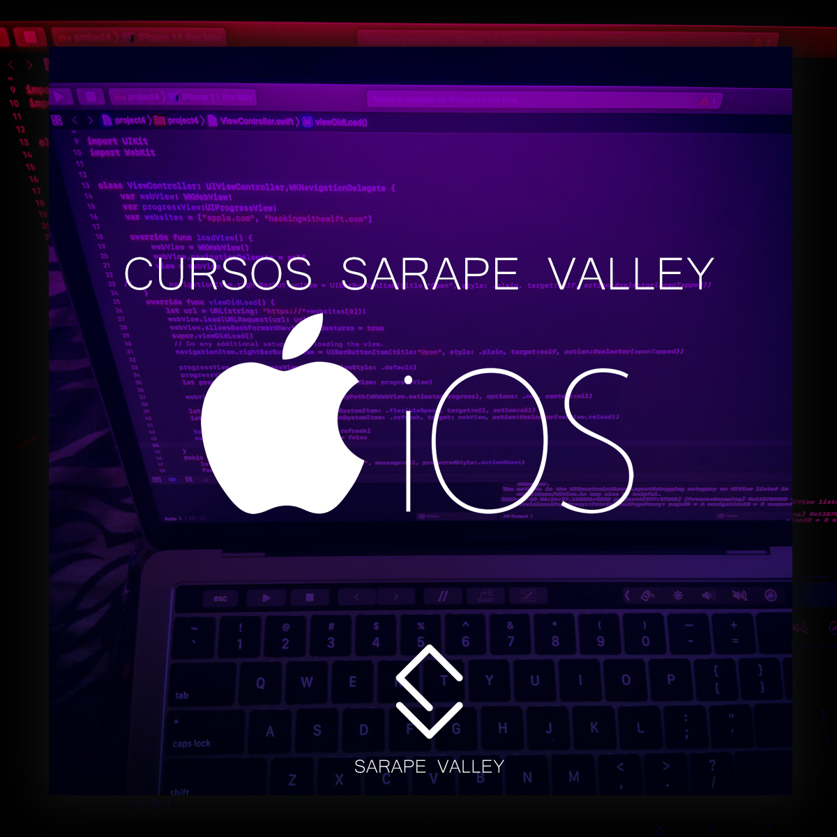 SVcursos_ios2